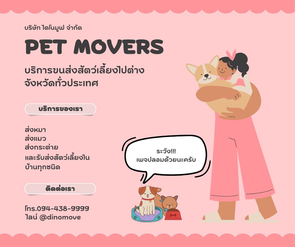 pet transport