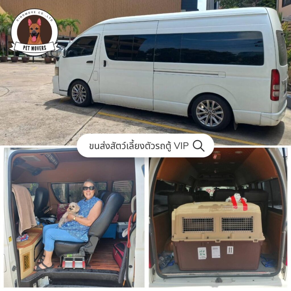 ขนส่งสัตว์เลี้ยง